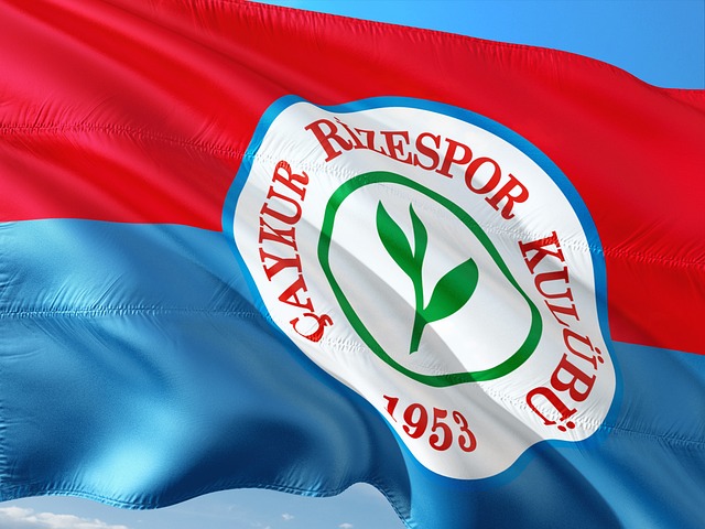 临场应变能 临场应变能