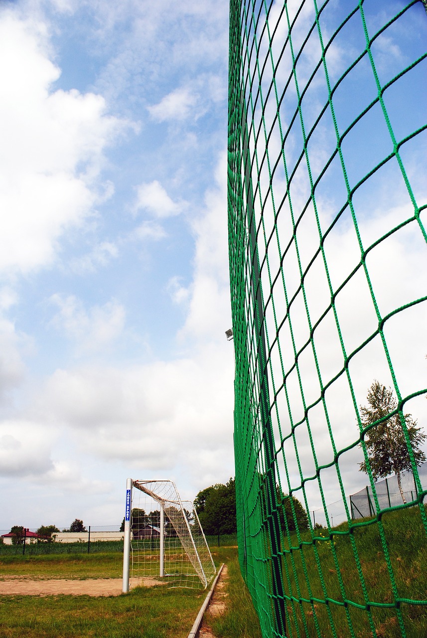 丹古德温 丹古德温