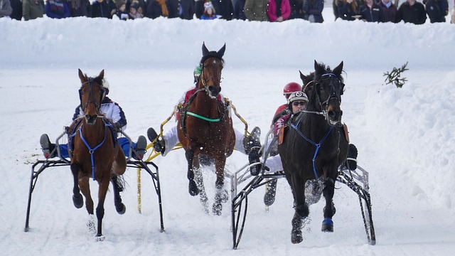 关键词人物 关键词人物