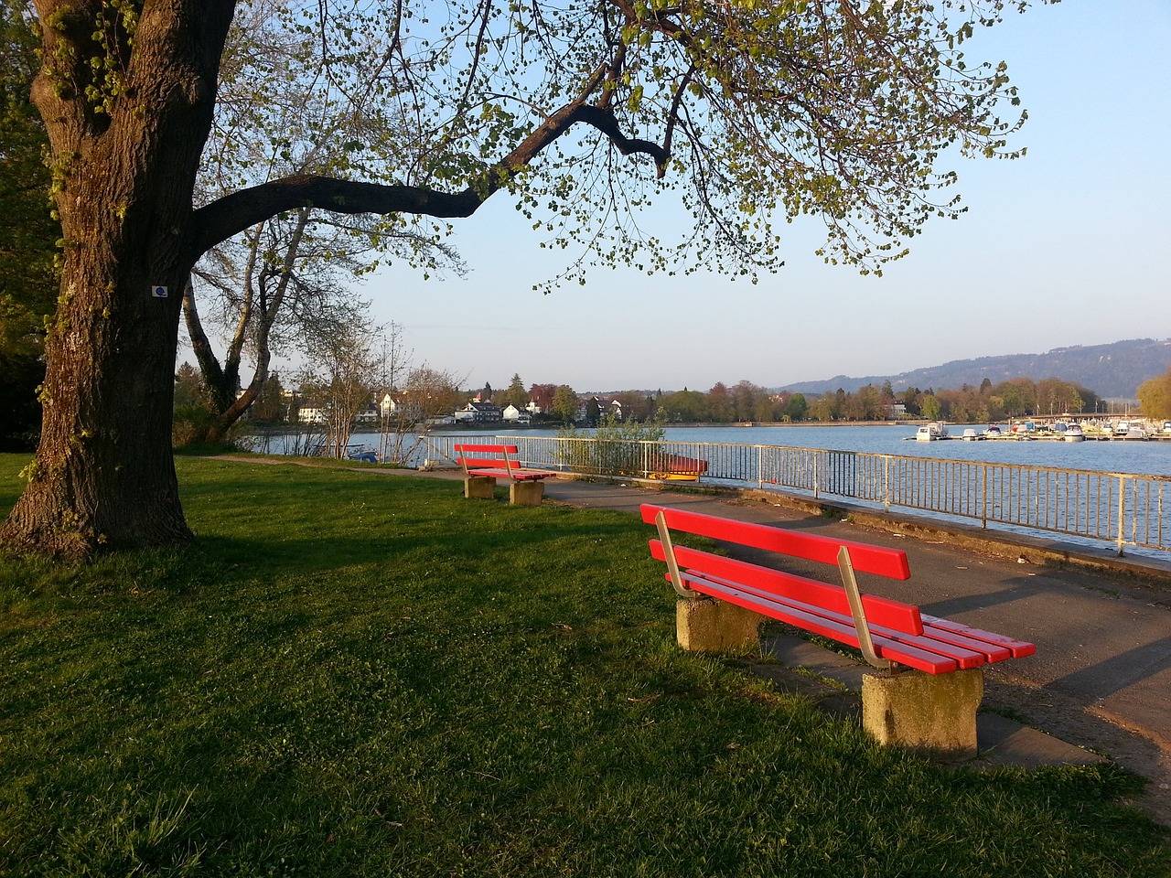 齐鲁坐标畅游齐鲁童 心迎冬奥冰雪运动科普定向赛.