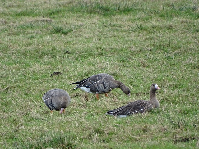 也是为了在 也是为了在