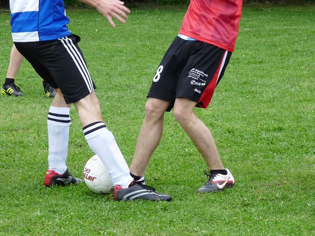 随着秋意渐 随着秋意渐