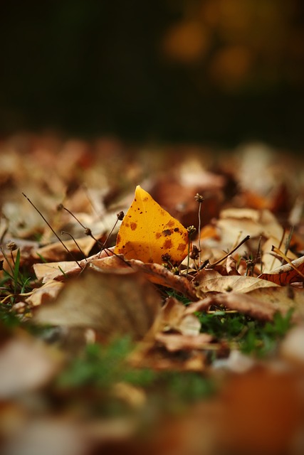 的容量不仅 的容量不仅