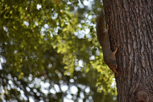 不只是绚丽 不只是绚丽