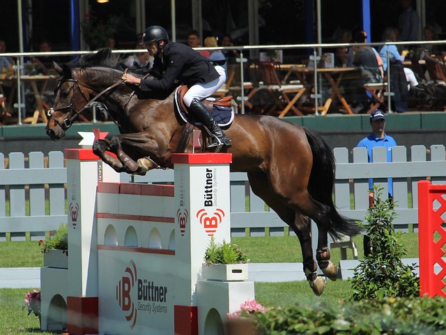 战来访的南 战来访的南